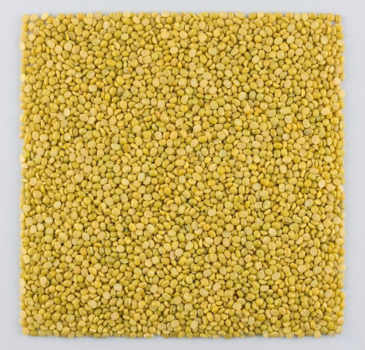 Moong Dal Green Gram